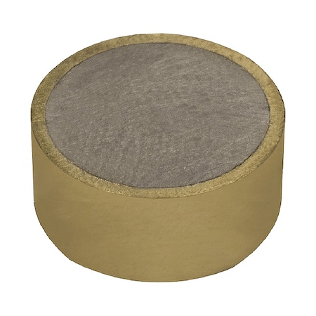 Shielded Magnet,Neodymium,1/4 in.