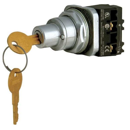 Non-Illum Selector Switch,2P,Blk,Chrome