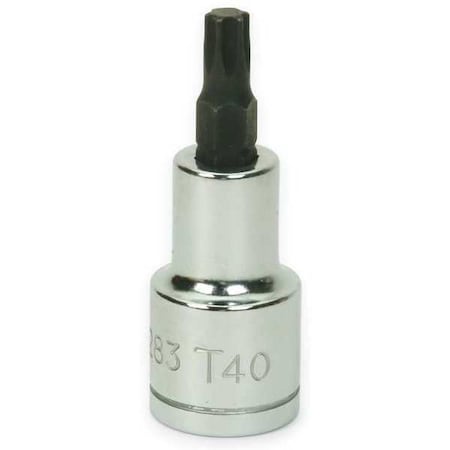 1/2" Drive, T40 SAE Socket