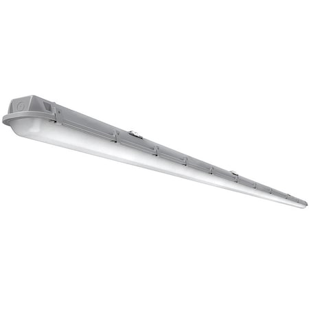 Decorative Lighting
