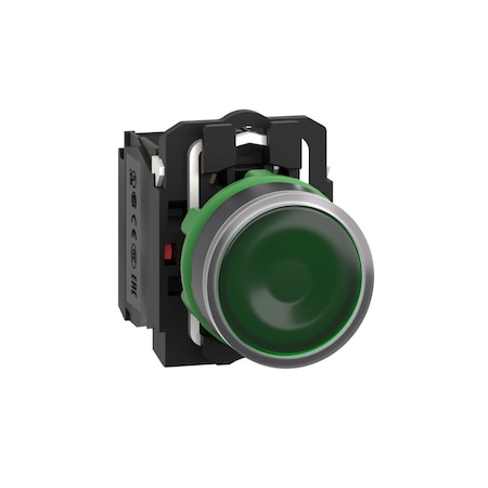 Illuminated Push Button, Flush, Momentary Action, Not Applicable Release, Illuminated, Green