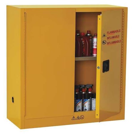 Hazardous Material Storage Cabinet, 30 gal, 1 Shelves, Steel, 43 in W x 45 1/2 in H x 18 in D