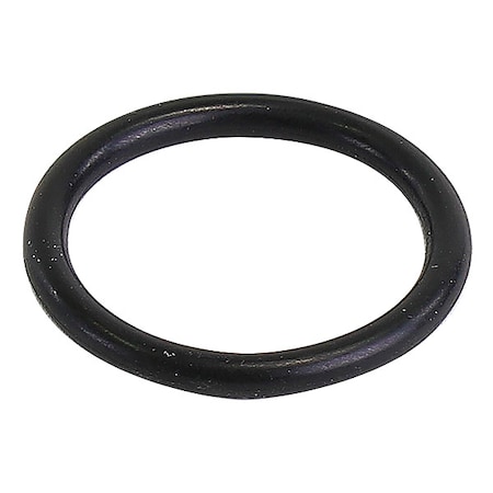 Gasket,O-Ring,1"