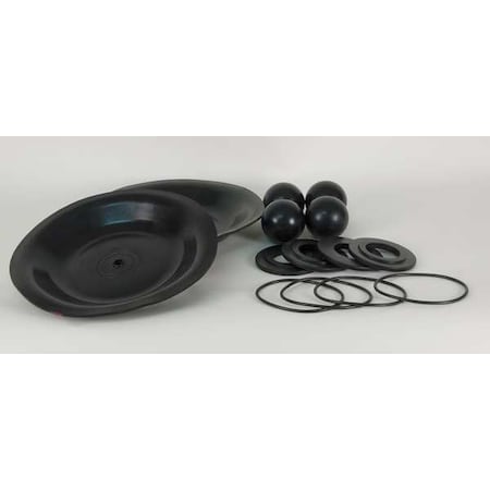 Pump Repair Kit,Buna N,Fluid,1 In.