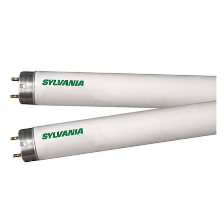 Fluorescent,32 W,T8,Medium Bi-Pin (G13)