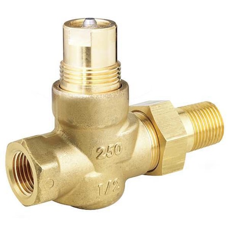 Control Valve,Globe, 1/2 in. NPT