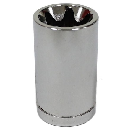 External Star Socket,E14