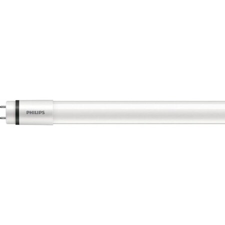 Linear LED Bulb, Med Bi-Pin (G13),T8,1PK