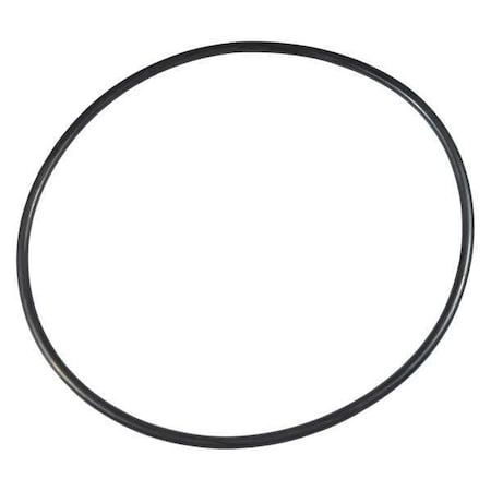 Ss Pump O-Ring