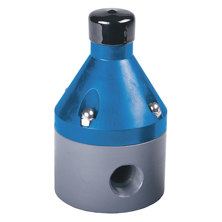 Back Pressure Valve, 1/2", CPVC/TFE/EPDM, Adjustable 10-150 psi, FPT