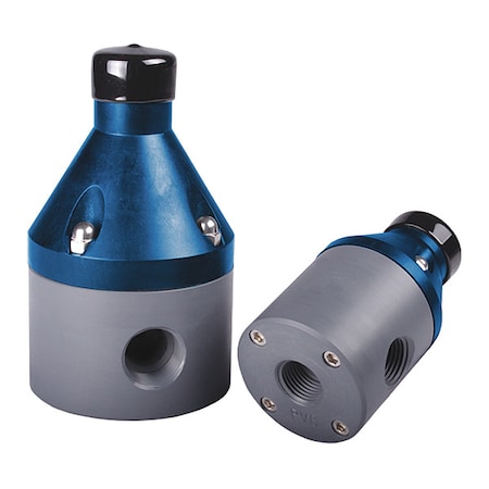Relief Valve, 1", PP/TFE/EPDM, Adjustable 10-150 psi, FPT
